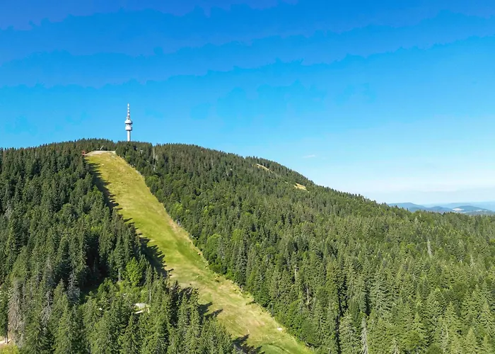 Penthouse Astralis - 아파트 팜포로보